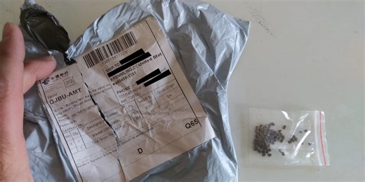 Mystery seed packets: What to do if one arrives in your mailbox