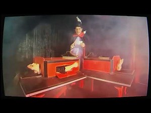 The Ultimate Magic Trick: Sawing a Beautiful Lady in Half