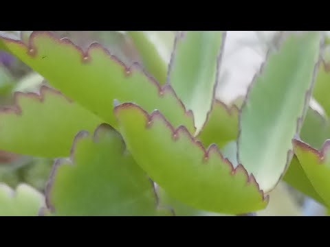 Om namah shivay ❤️🙏