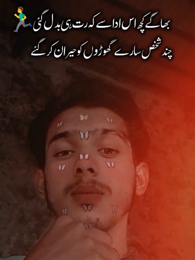 Insights for Aspiring Law Students