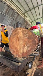 The sound of this blade is ADDICTIVE! 🎧🔥 #asmr #woodcutting #sawmill | Sawmill & Woodworking