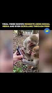 55K views · 697 reactions | In the now-viral clip, a man holding the...