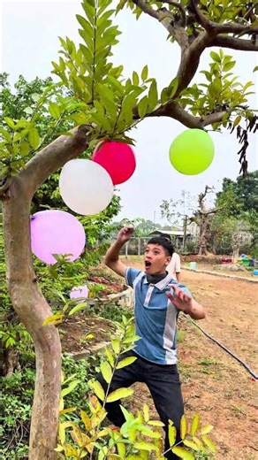 Destroying the Funny Balloons – So satisfying and full of surprises! #shorts #viralvideo #cat