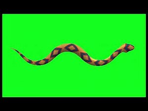 Moving Snake gif, Snake moving with green screen