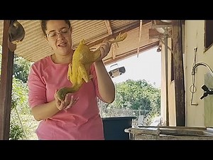 MATANDO FRANGO CAIPIRA #VIDANAROÇA