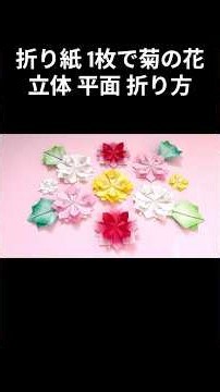 折り紙 1枚で菊の花 立体 平面 折り方 Origami chrysanthemum flower tutorial（NiceNo1）#shorts #折り紙 #手作り工作 #origami