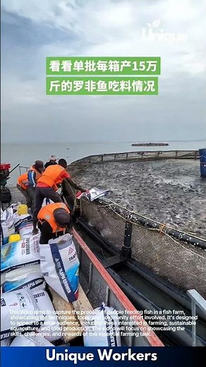 Feeding fish: people feeding fish in a fish farm
