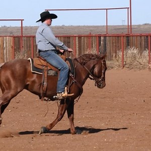 Tongue River Ranch on Reels
