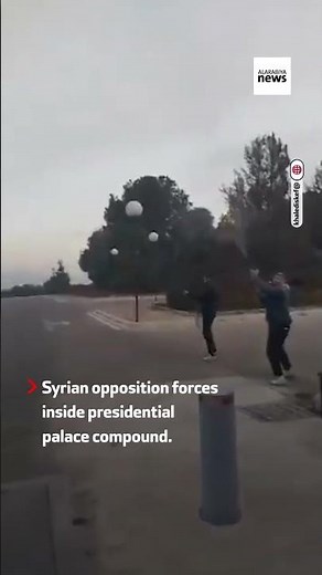 Syrian opposition in presidential palace