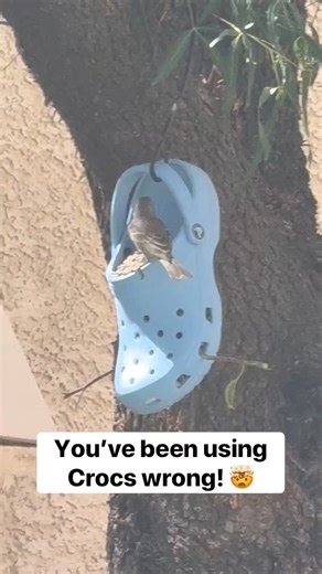 Best use for crocs This original video was produced by Network Media LLC Productions, Rick Lax and Jennie Carroll | Tips, Tricks & Funny Clips