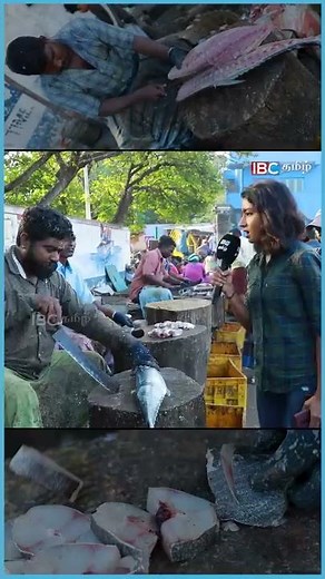 ஒருவேள வெட்டிடுவாரோ!! 🤣🤣🤣 | Kasimedu Fish cutting | #Shorts | Full video link in comment box