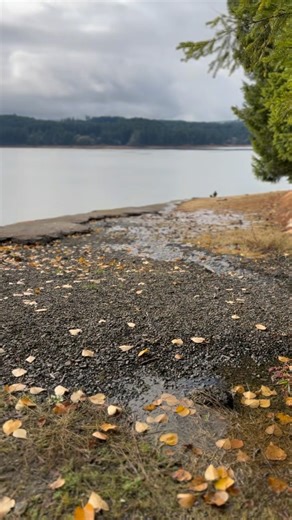 The water is flowing and Hagg Lake is filling back up. #hagglake #oregonwater #followthewater #nature | WashCo Parks