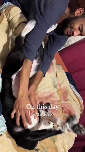 On This Day: Who Did Poop? Catch Dory and Enjoy Belly Rubs