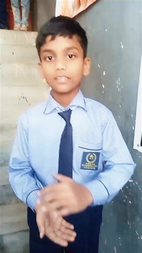 Exploring the Schooling System