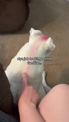 #danganronpa ]] was dyeing my hair red and he was within dyeing range #emymaru #triggerhappyhavoc #drthh