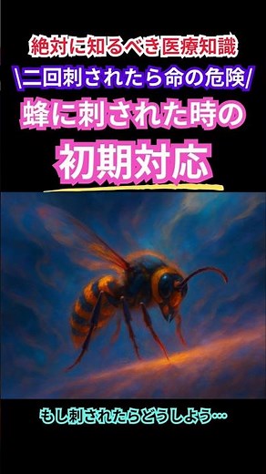 🧠命に関わるかも⁉🐝蜂に刺されたときの正し初期対応👇 #応急処置 #アナフィラキシー #医療従事者 #看護師 #医者 #医療従事者 #介護#予防医療 #予防