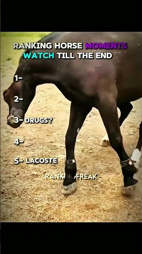 Horse funny moments 😄 #horse