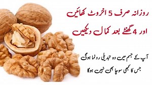 60K views · 2.3K reactions | Benefits of Eating 5 Walnuts a Day https://www.youtube.com/watch?v=1xumTIPX3vE | Kfoods.com | Facebook