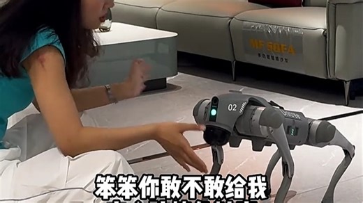 宇树机器狗Go2高智能生活中的好帮手