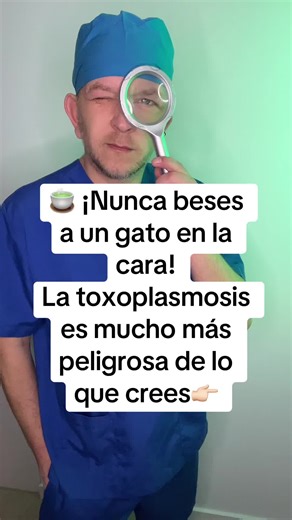 Avoid Kissing Cats: Understanding Toxoplasmosis Risks