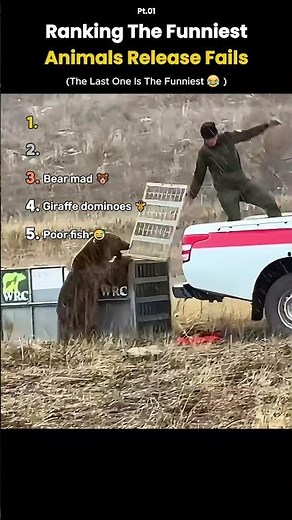 Ranking the Funniest Animal Release Fails 🐾