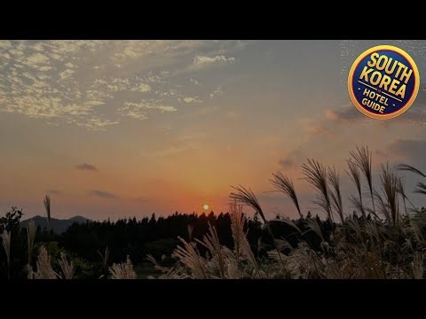 New Registration: Woljeong Ocean View (Comfort Stay) Property a Few Steps from Woljeong Beach | Sout