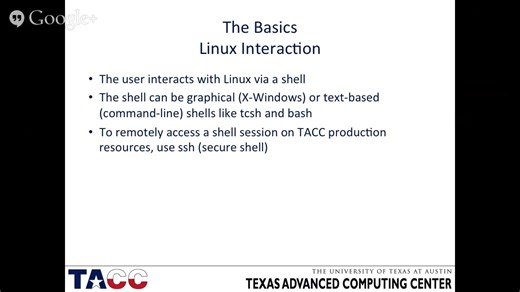 Undergraduate Research Experience Day