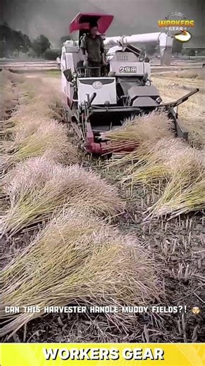 Efficient Rice Harvester Machine for Cutting & Bundling in Wet Paddy Fields