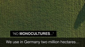 89 reactions · 22 shares | Pesticides, fertilizers and monoculture: this is how Germany is destroying its farmland biodiversity to produce biogas and biofuels. You must see it to believe it ⚠ More shocking videos at www.birdlife.org/the-burning-issue | BirdLife International | Facebook