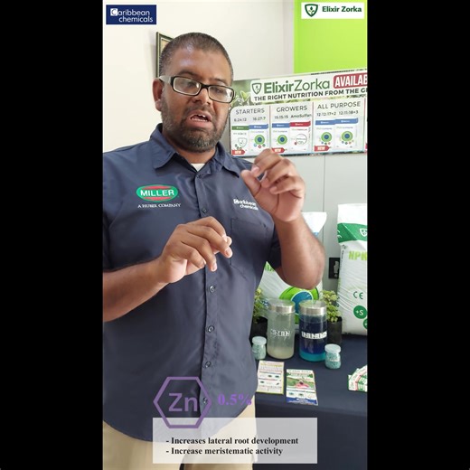 Agronomist Gabriel Balgobin educates the farming community on Elixir Zorka 6:24:12 - its contents, benefits and how Elixir Zorka 6:24:12 works to benefit your plants. | Caribbean Chemicals & Agencies Ltd