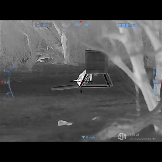 16K views · 297 reactions | One clean shot is all it takes when...