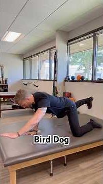 Train Like an Athlete: Master the Bird Dog
