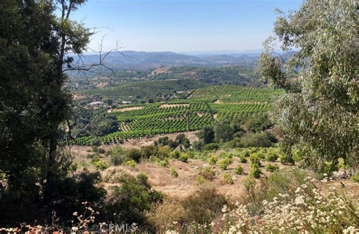 37 El Calamar Rd, Temecula, CA 92590 - MLS SW26056511 - Coldwell Banker