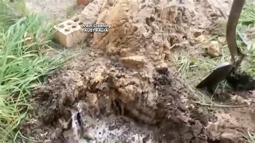 Forbidden cheese filled drain - lucky there's no smelly-vision!#satisfying #blockeddrains #draincleaning #plumbing | Drain Cleaning Australia