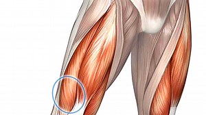 Tip: Two Exercises for Complete Quad Development