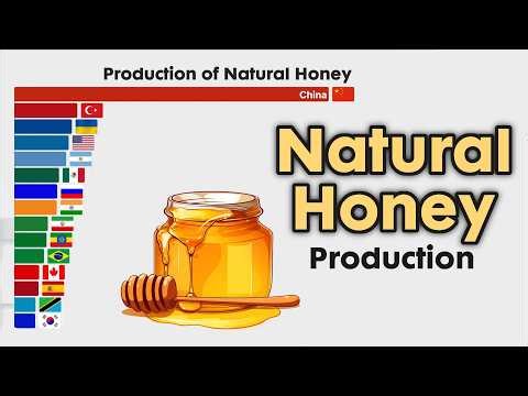 Natural Honey Production 1960 - 2026