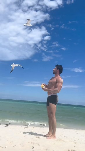 Bird man | Life's Families