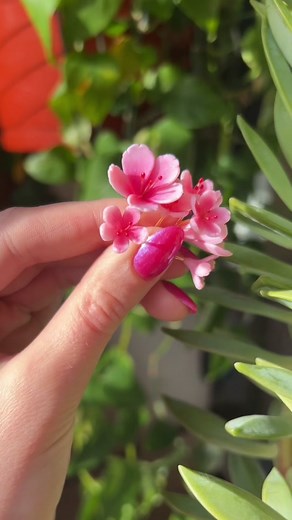 Brianca Thornton on TikTok