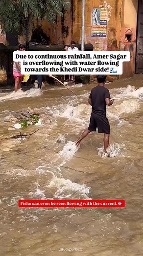 2.3M views · 2.9K reactions | Amer Sagar has overflowed following continuous rainfall, with water rushing towards the Khedi Dwar side, rendering the route unsafe. Fishes can even be seen drifting along the flow. | Jaipur Buzz | Facebook