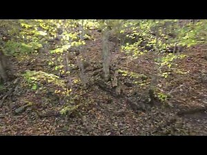 The Eureka Springs & North Arkansas Railway Tour Pt 2