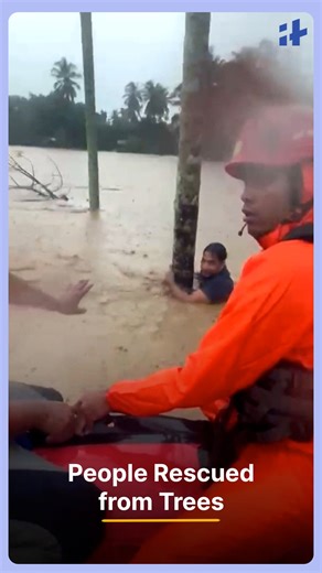 Based on the latest reports (as of Nov 29, 2025), the death toll has officially risen to 248 confirmed, with over 100 still missing. Your script is highly accurate. Here is the optimized social media package for your Short/Reel. 1. YouTube Shorts / TikTok / Reels Optimization Strategy: Since this is a short vertical video, the description must be "above the fold" (first 2 lines matter most). The "Stranded on Trees" hook is excellent—it provides a specific visual image that creates immediate tens