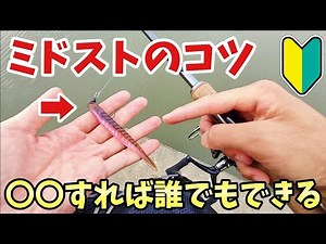 誰でも簡単にミドストをロールさせて釣れるコツ【バス釣り】