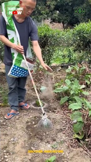 Vegetable Fertilizing Method