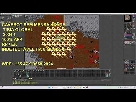 TIBIA GLOBAL - BOT 2024 - INDETECTÁVEL - RP / EK - SEM MENSALIDADE !