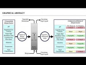 Examining ways to use microalgae to upgrade biogas to biomethane