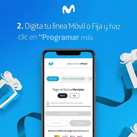 Programa tus pagos