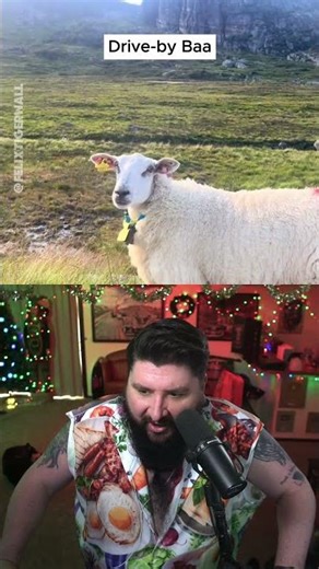 Couldn't Resist via ‪@felixwall601‬