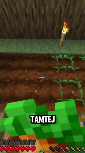 I CHANGED MY THUMBNAIL APP #miniature #youtube