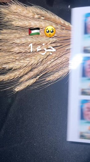 Removing Photographs with Scissors and Cleaning Solutions