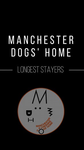 Manchester Dogs Home's longest staying dogs at present. Peanut - 386 Days https://dogshome.net/dog-for-adoption/peanut/ Coby - 481 Days (returned) https://dogshome.net/dog-for-adoption/coby/ Duke - 276 Days https://dogshome.net/dog-for-adoption/duke/ Duchess - 295 Days https://dogshome.net/dog-for-adoption/duchess/ Shadow - 286 Days https://dogshome.net/dog-for-adoption/shadow/ | Manchester & Cheshire Dogs' Home
